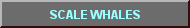 SCALE WHALES
